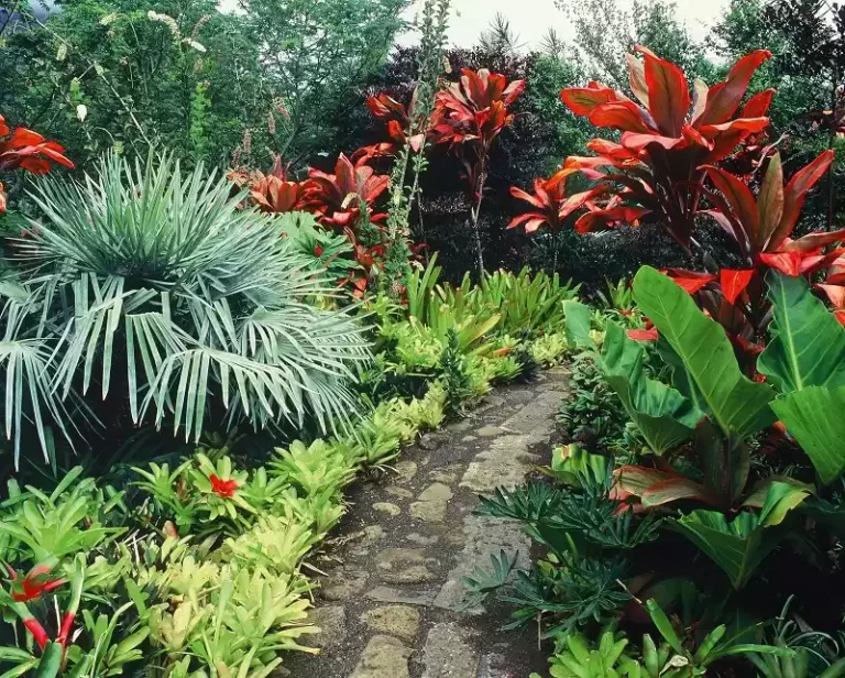 Jardin tropical