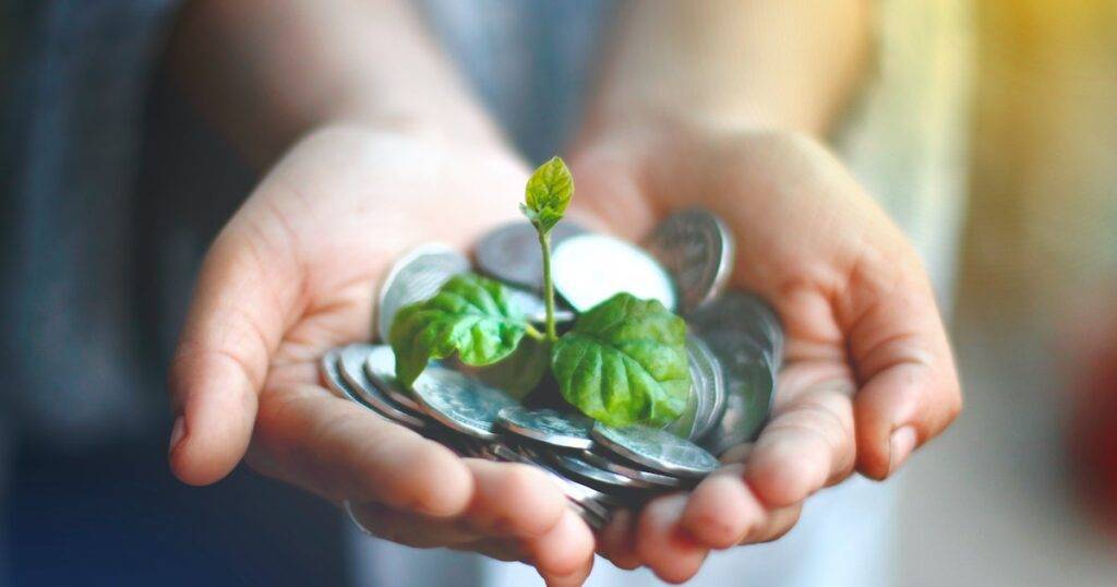 Plantas que atraen dinero