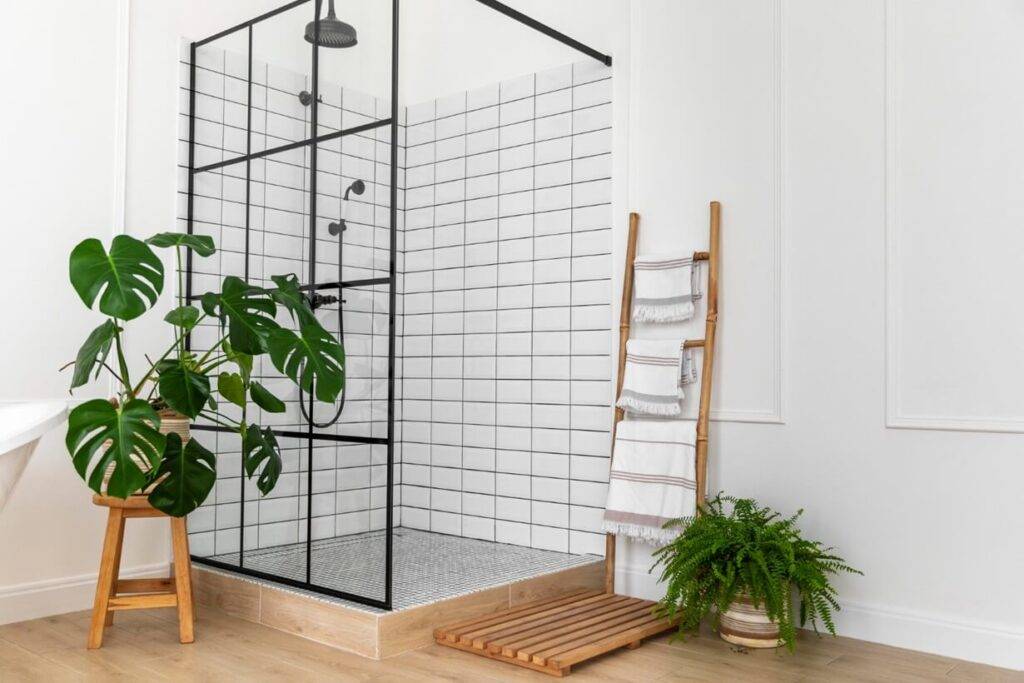 Plantas Ideales para Cultivar en el Baño