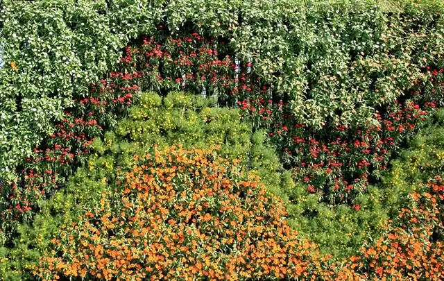 Jardín vertical de flores