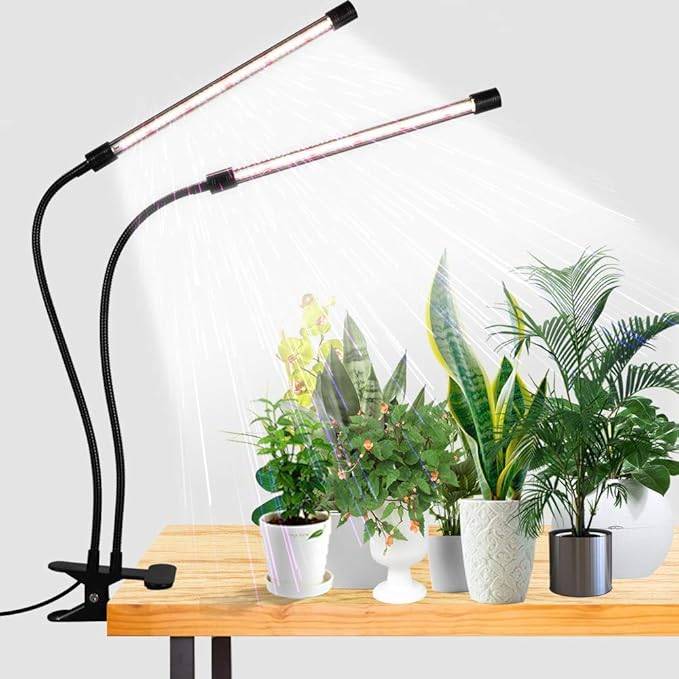 Luz LED de crecimiento, 6000 K